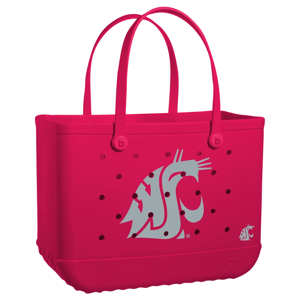 Washington State Cougars