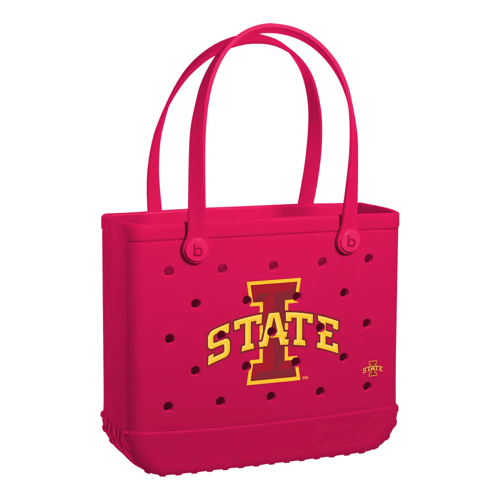 Iowa State Cyclones