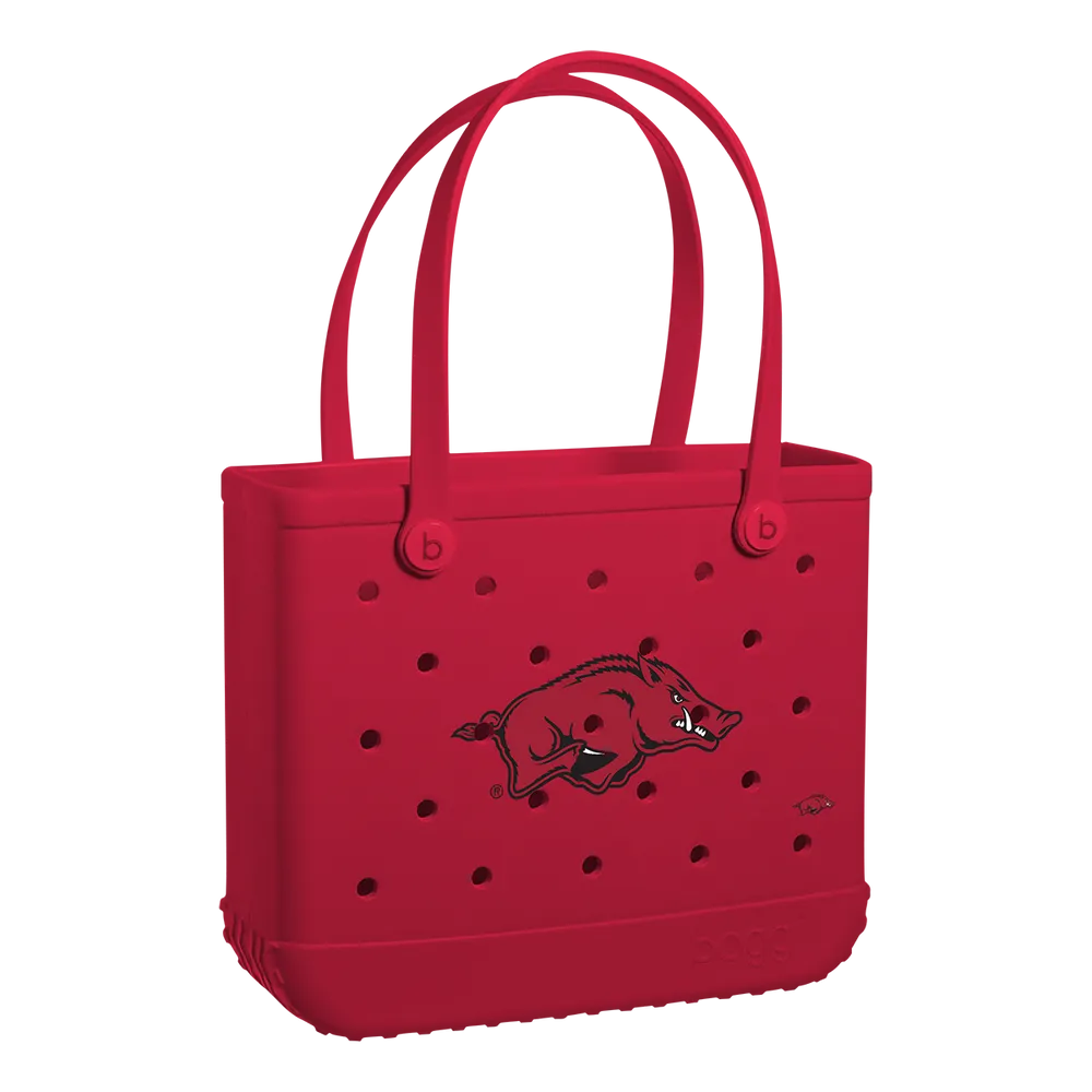 Arkansas Razorbacks