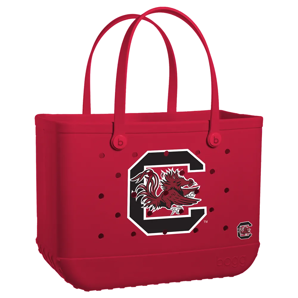South Carolina Gamecocks