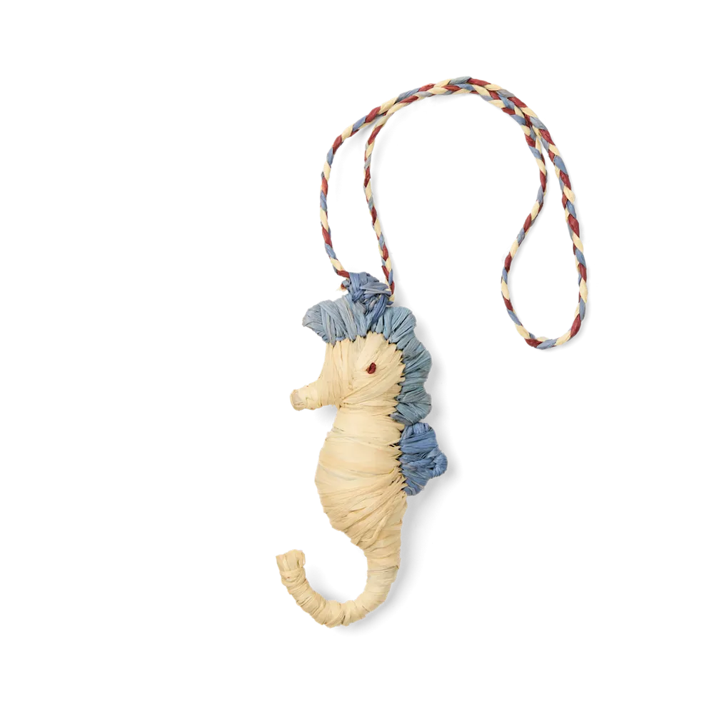 Raffia Seahorse