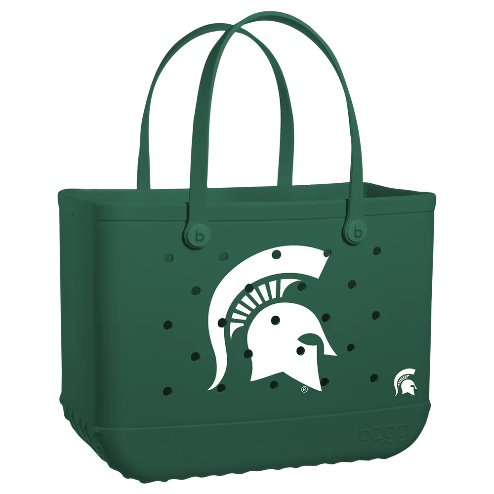 Michigan State Spartans
