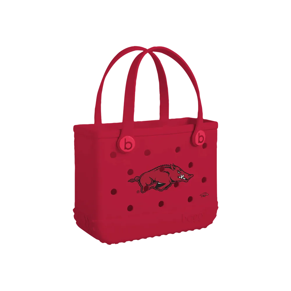 Arkansas Razorbacks