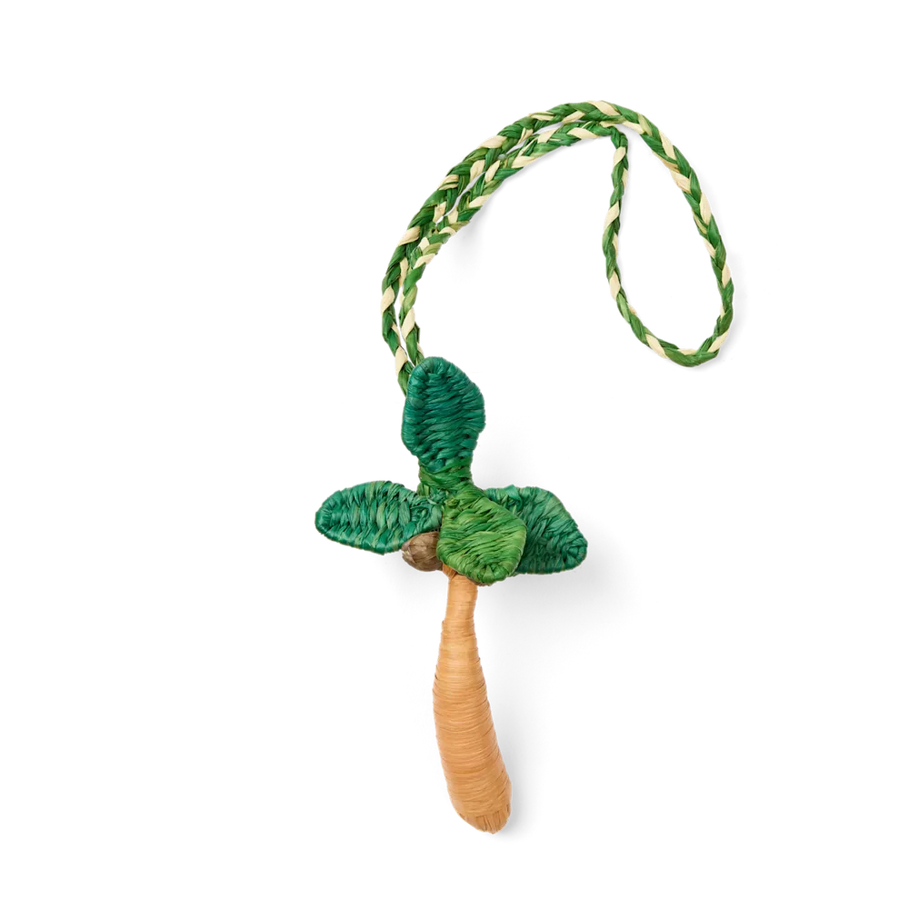 Raffia Palm
