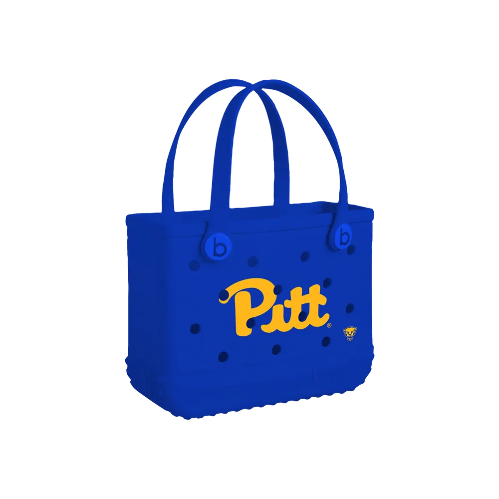 Pittsburgh Panthers