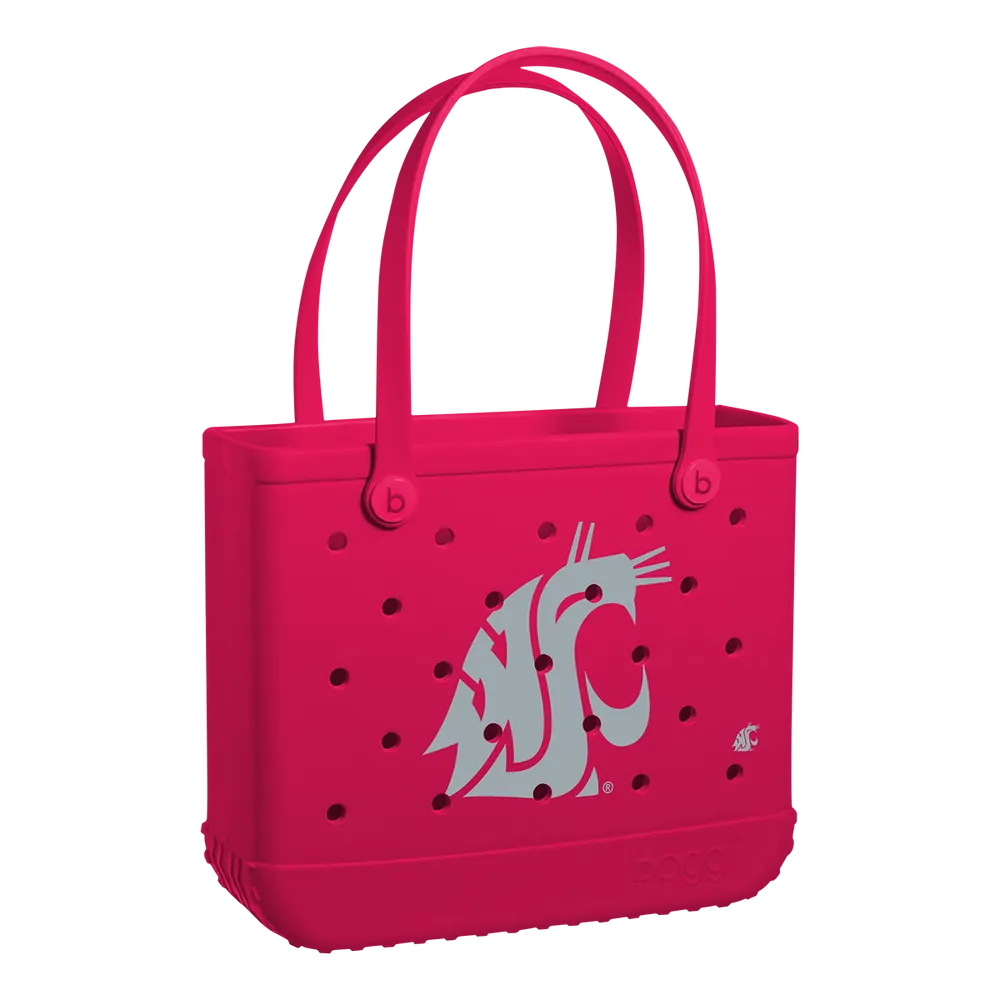 Washington State Cougars