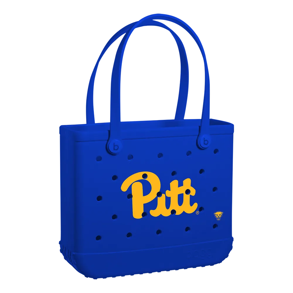 Pittsburgh Panthers