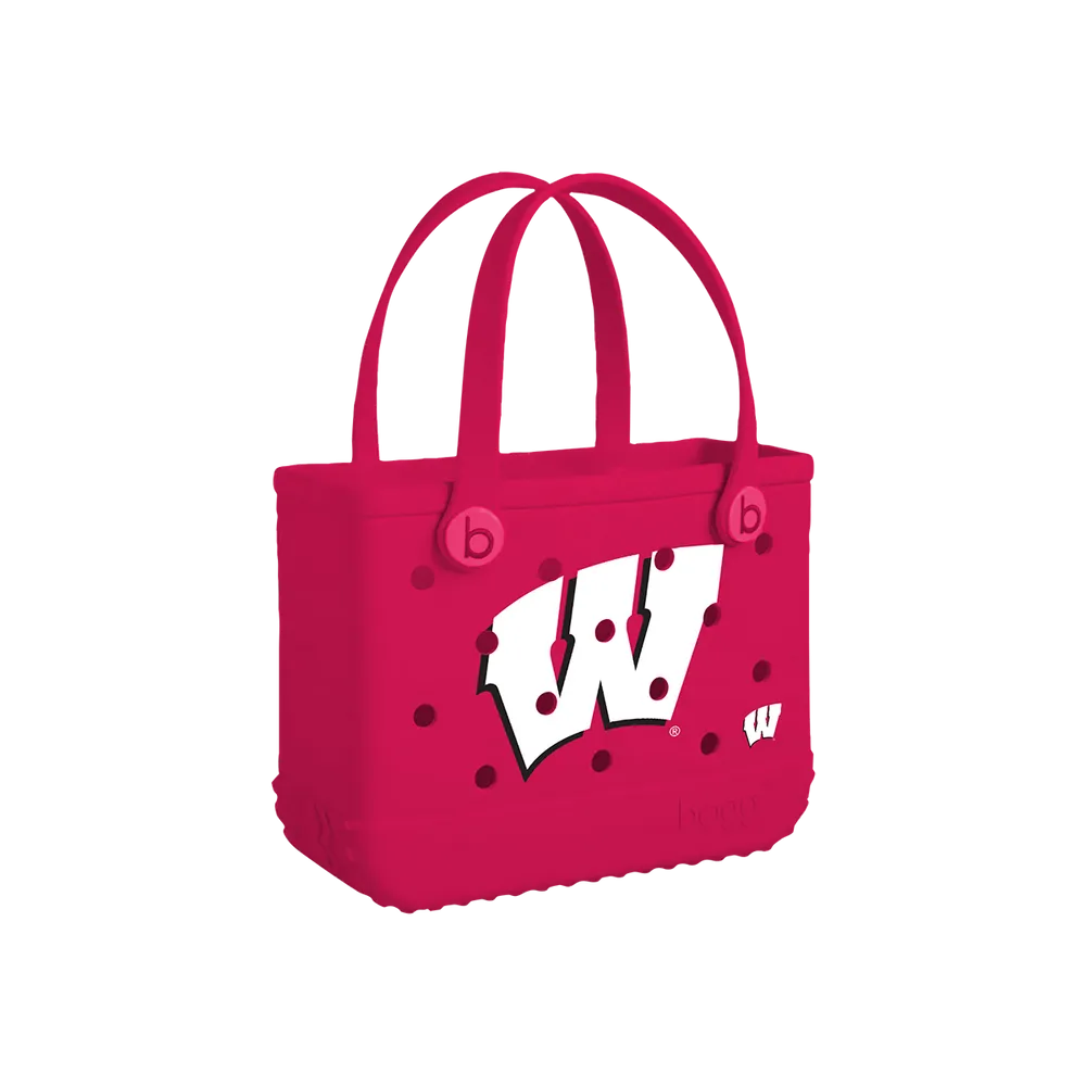 Wisconsin Badgers