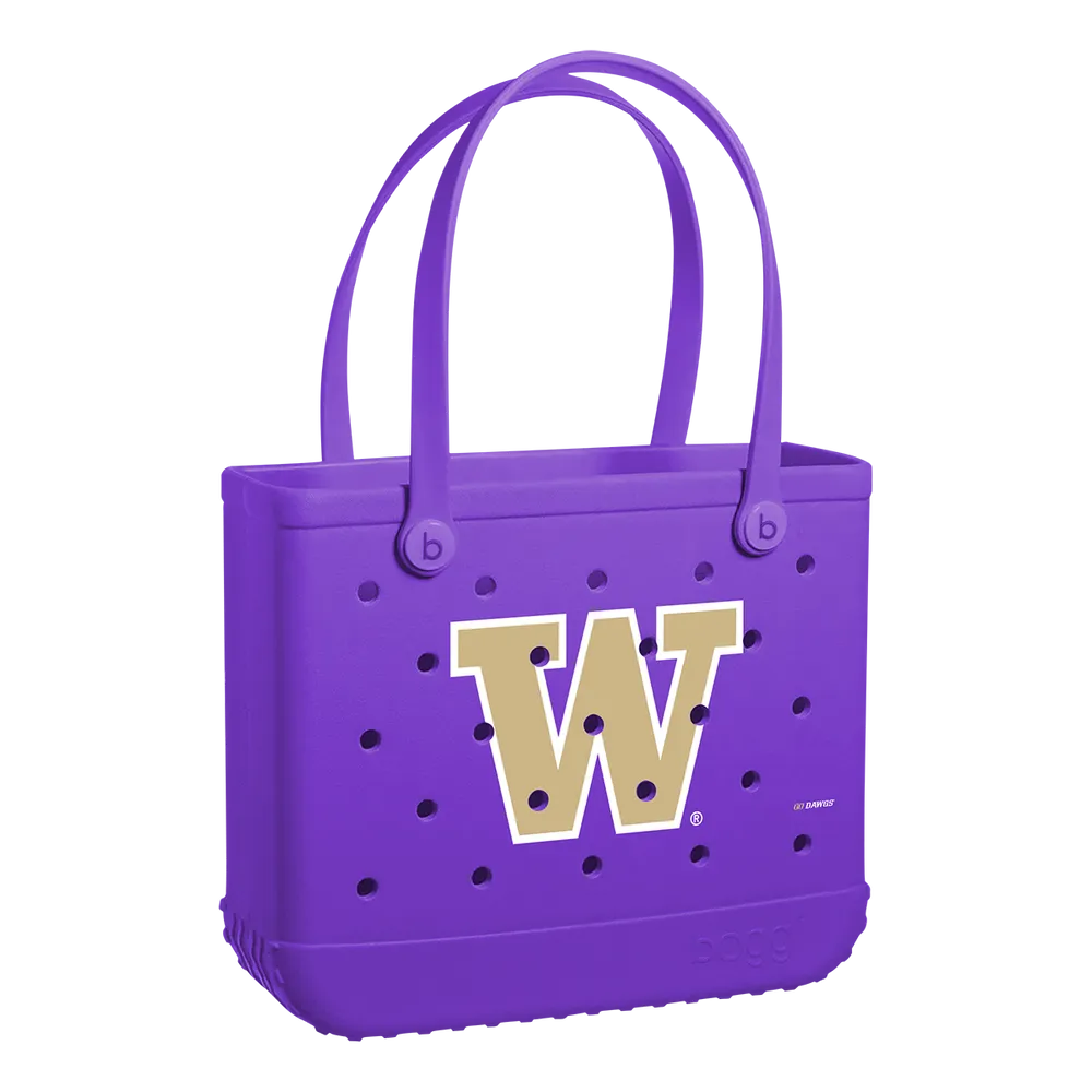 Washington Huskies