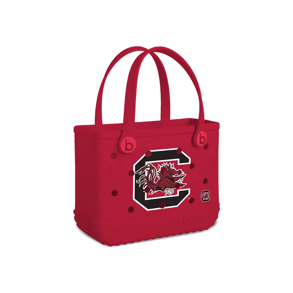 South Carolina Gamecocks