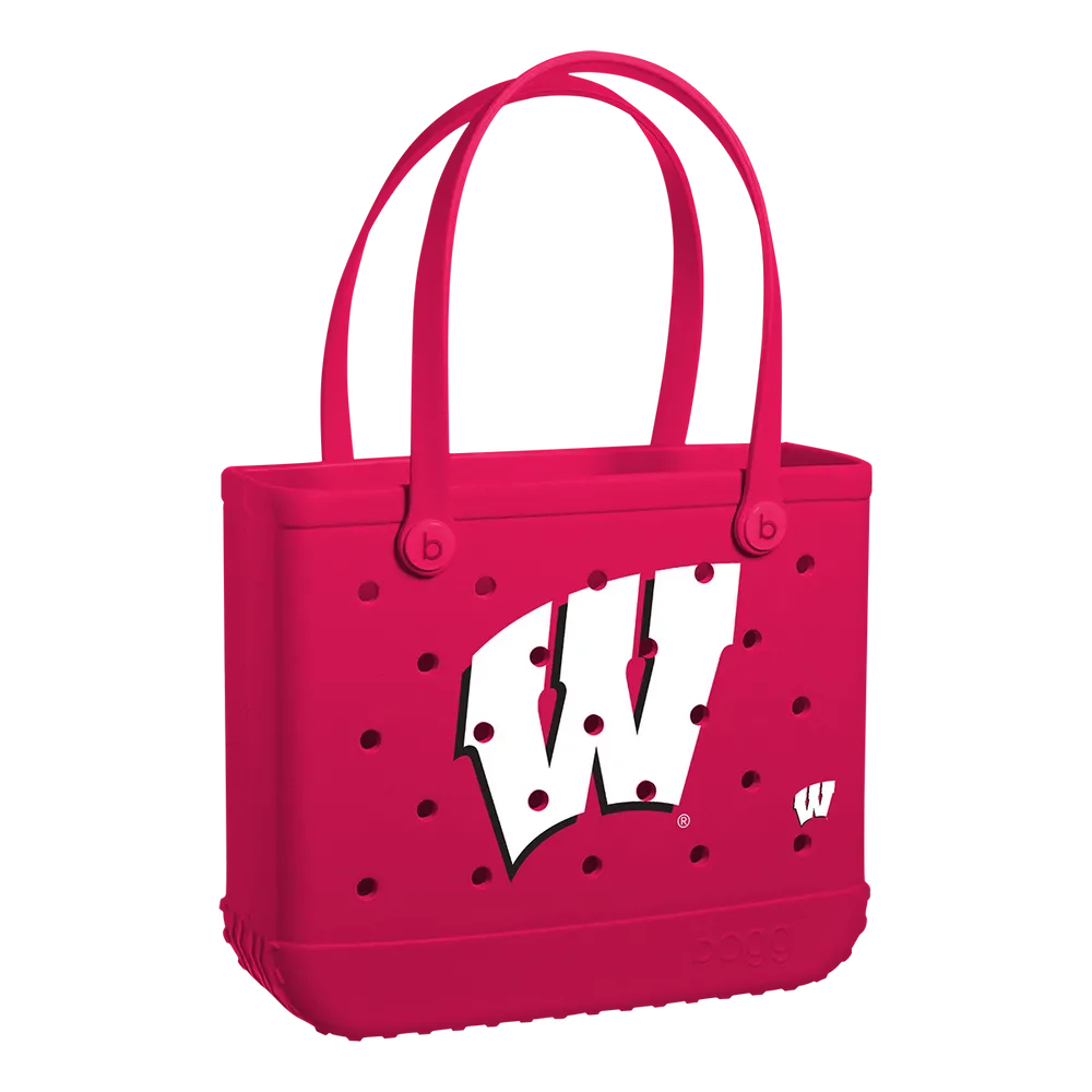 Wisconsin Badgers