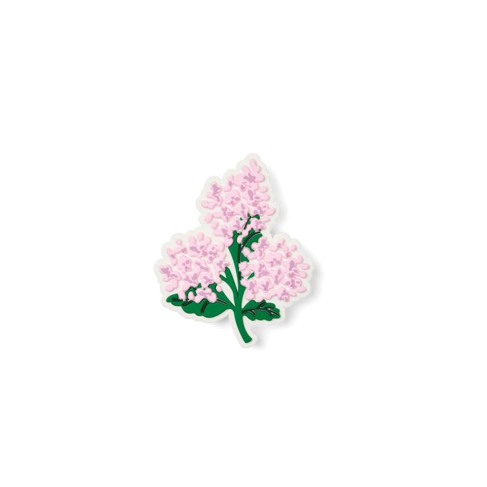 Pink Hydrangea