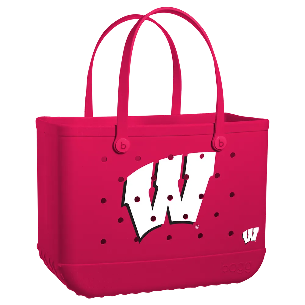 Wisconsin Badgers