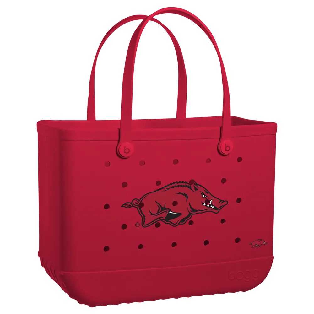 Arkansas Razorbacks